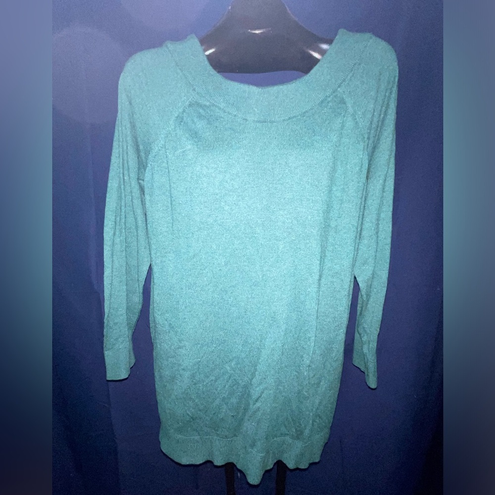 Torrid sweater shirt